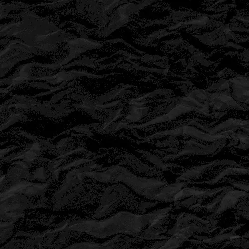 Metamorphosis — Black Reuss