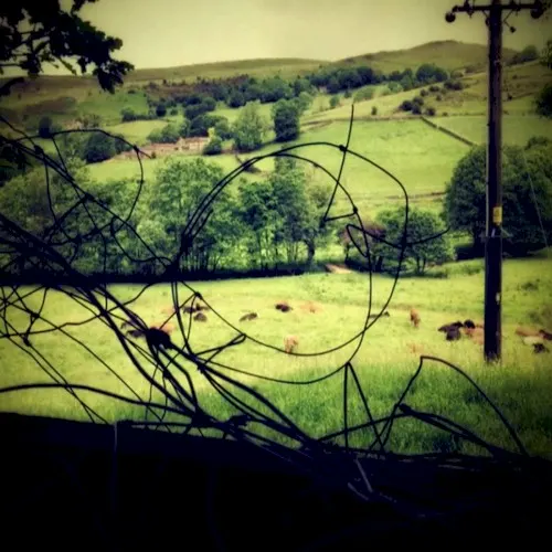 Rural Eerie — Flange Circus