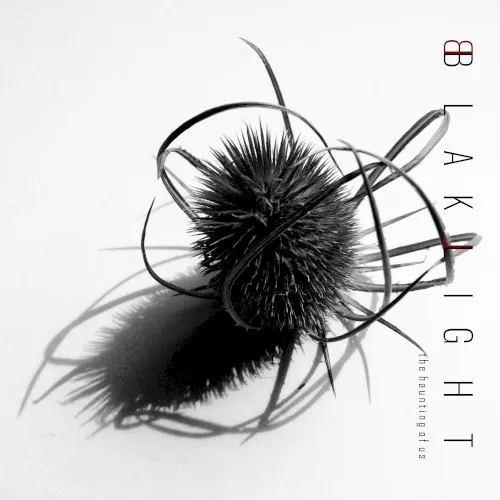 The Haunting of Us — BlakLight