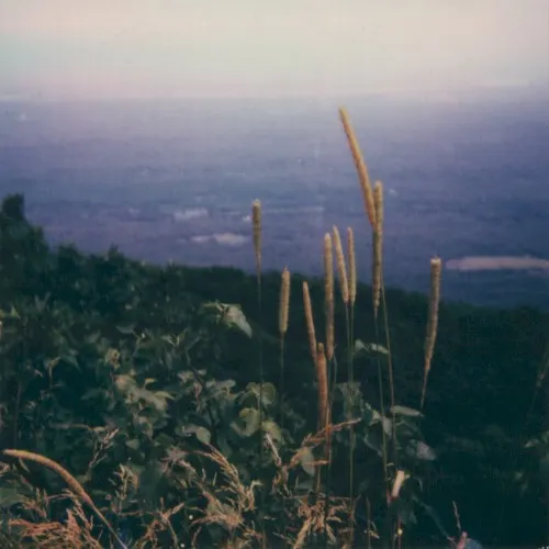 Underwritten VI — Benoit Pioulard