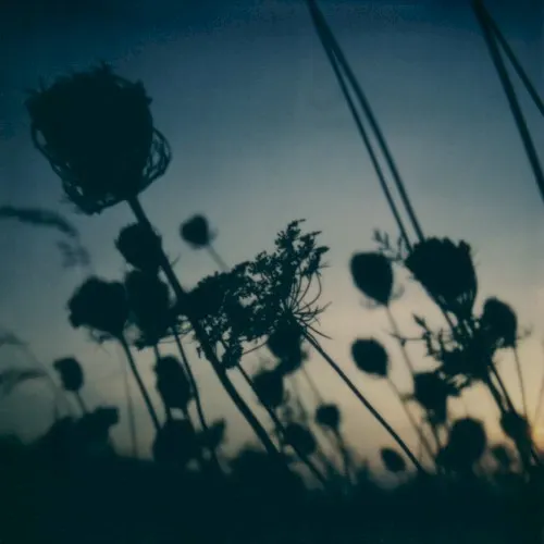 My Heart, My Beloved — Benoit Pioulard