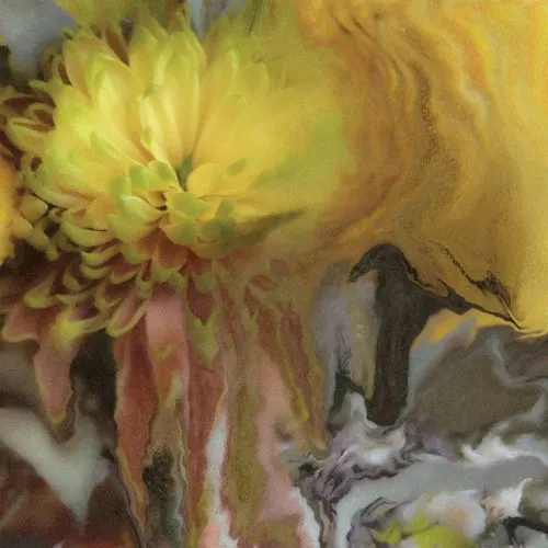 Wilderness Within You — Parker Millsap