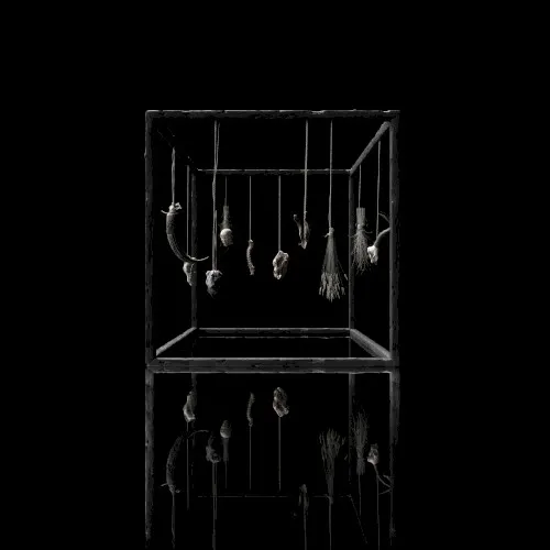 Rejet — Treha Sektori