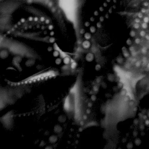 Delusion of Hope — Ural Umbo