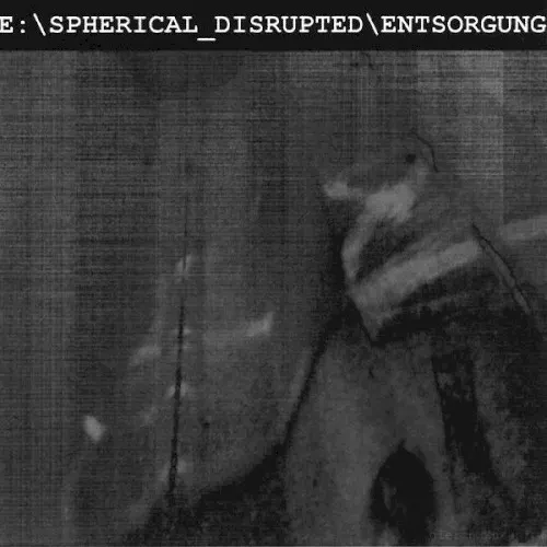 Entsorgung — Spherical Disrupted