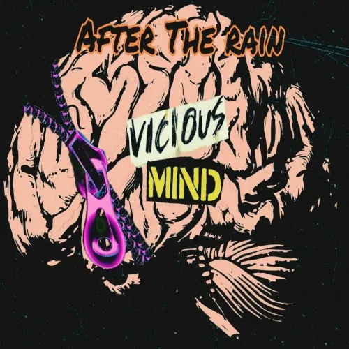 Vicious Mind — After The Rain
