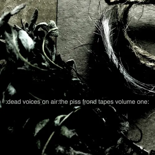 The Piss Frond Tapes Volume One — 01. Dead Voices On Air