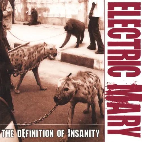 The Definition of Insanity — ELECTRIC MARY