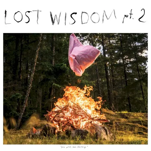 Lost Wisdom, pt. 2 — Julie Doiron