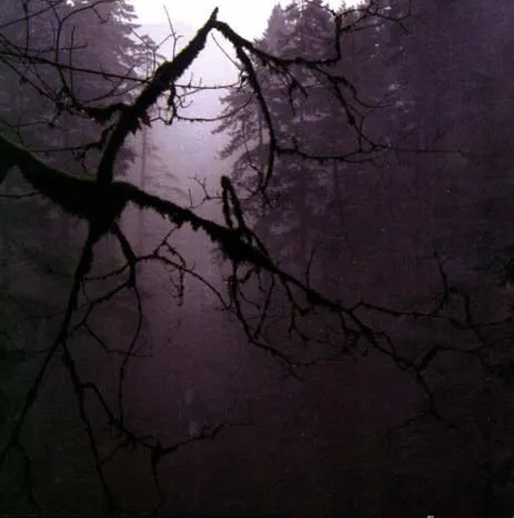 The Poisoner — Controlled Bleeding