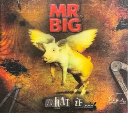 What If… — MR Big