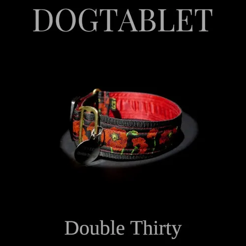 Double Thirty — Dogtablet