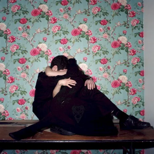 Plastic Heart — Ghost Twin