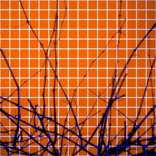 Recover — Tapage