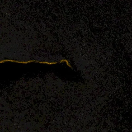 Death — Black Reuss