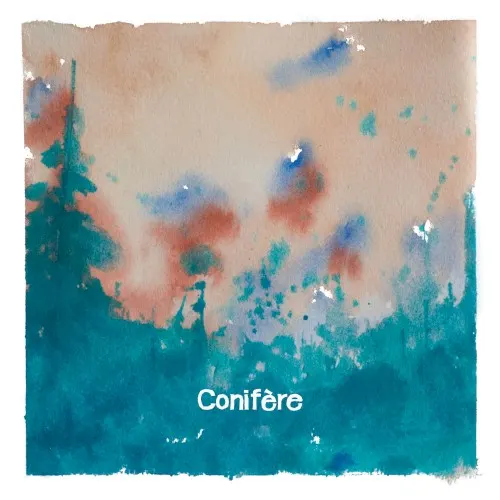 Conifère — Conifere