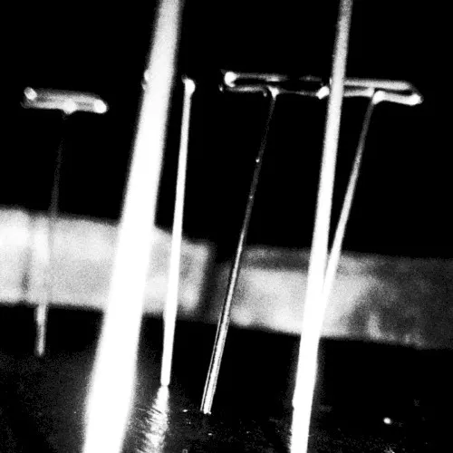 PRESSED IN GLASS — SOFT VEIN