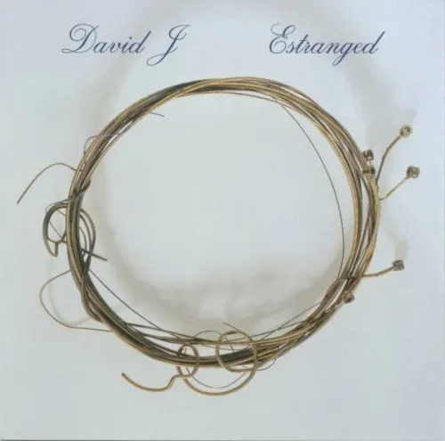 Estranged — David J