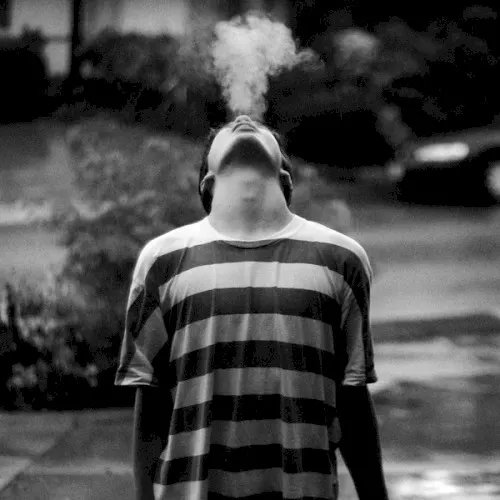 The Wound Dresser — TIGER LOU