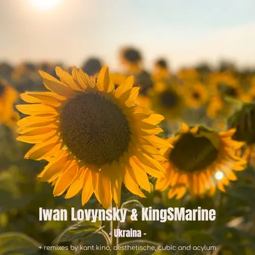 Ukraina — Kingsmarine
