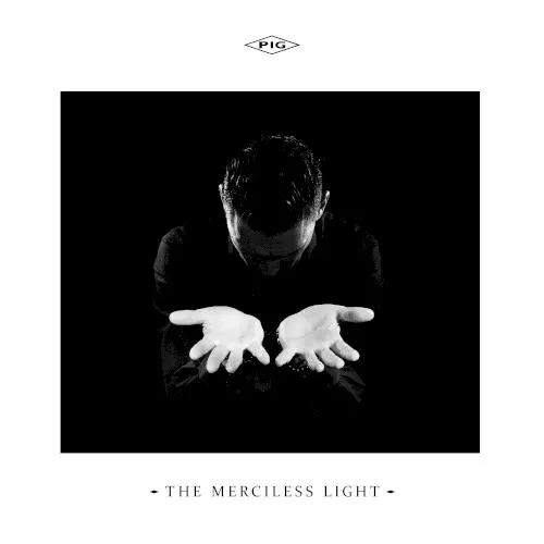 The Merciless Light — PIG