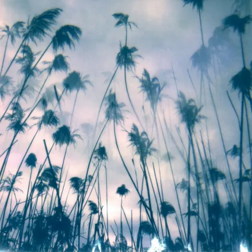 Koselig — Benoit Pioulard