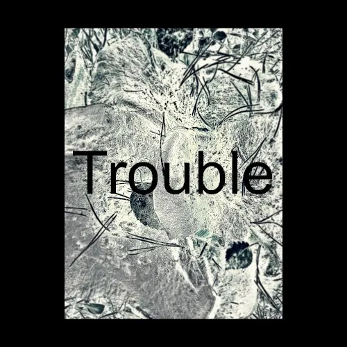 Trouble — Processor