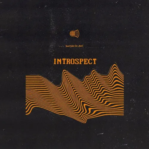 Introspect — barnacle boi