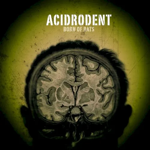 Born of Rats — Acidrodent