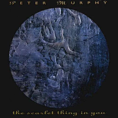 The Scarlet Thing in You — Peter Murphy