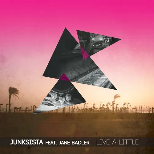 Live a Little — JUNKSISTA