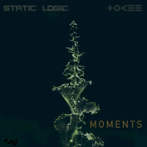 Moments — Static Logic
