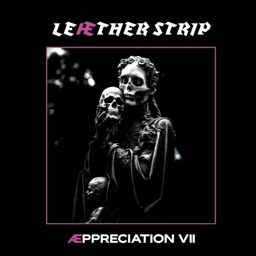 Æppreciation VII — Leaether Strip