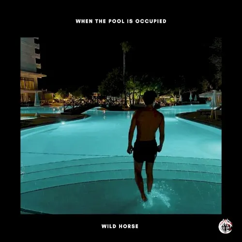 When The Pool Is Occupied — Wild Horse
