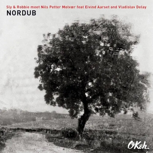 Nordub — Vladislav Delay