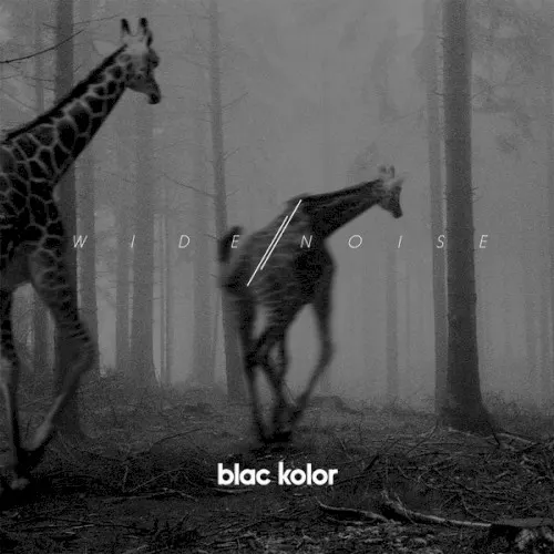 Wide Noise — Blac Kolor