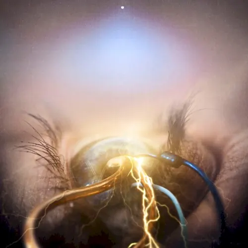 Eye of Providence — THE AGONIST