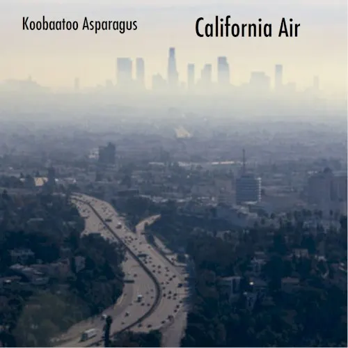 California Air — Koobaatoo Asparagus