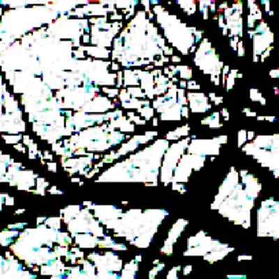 Dictatorship in disguise — No rchestra