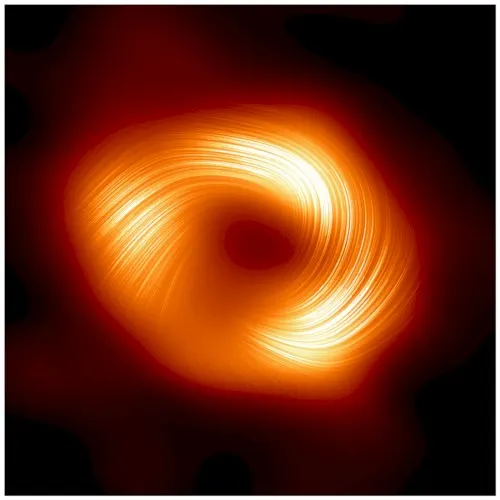 Event Horizon — Omri Cohen