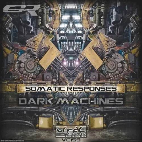 Dark Machines — Somatic Responses