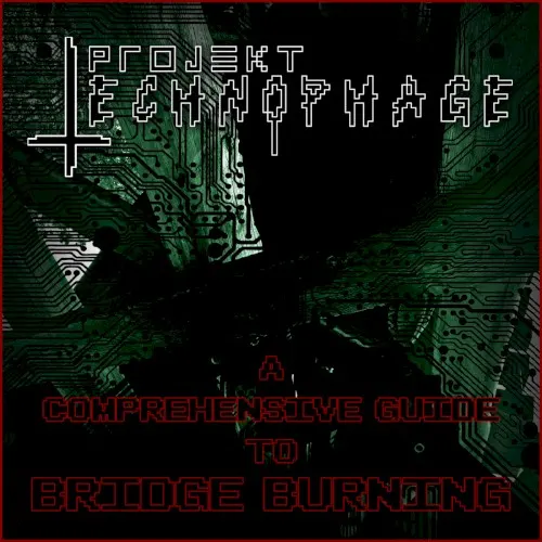 A Comprehensive Guide to Bridge Burning — The Design Abstract